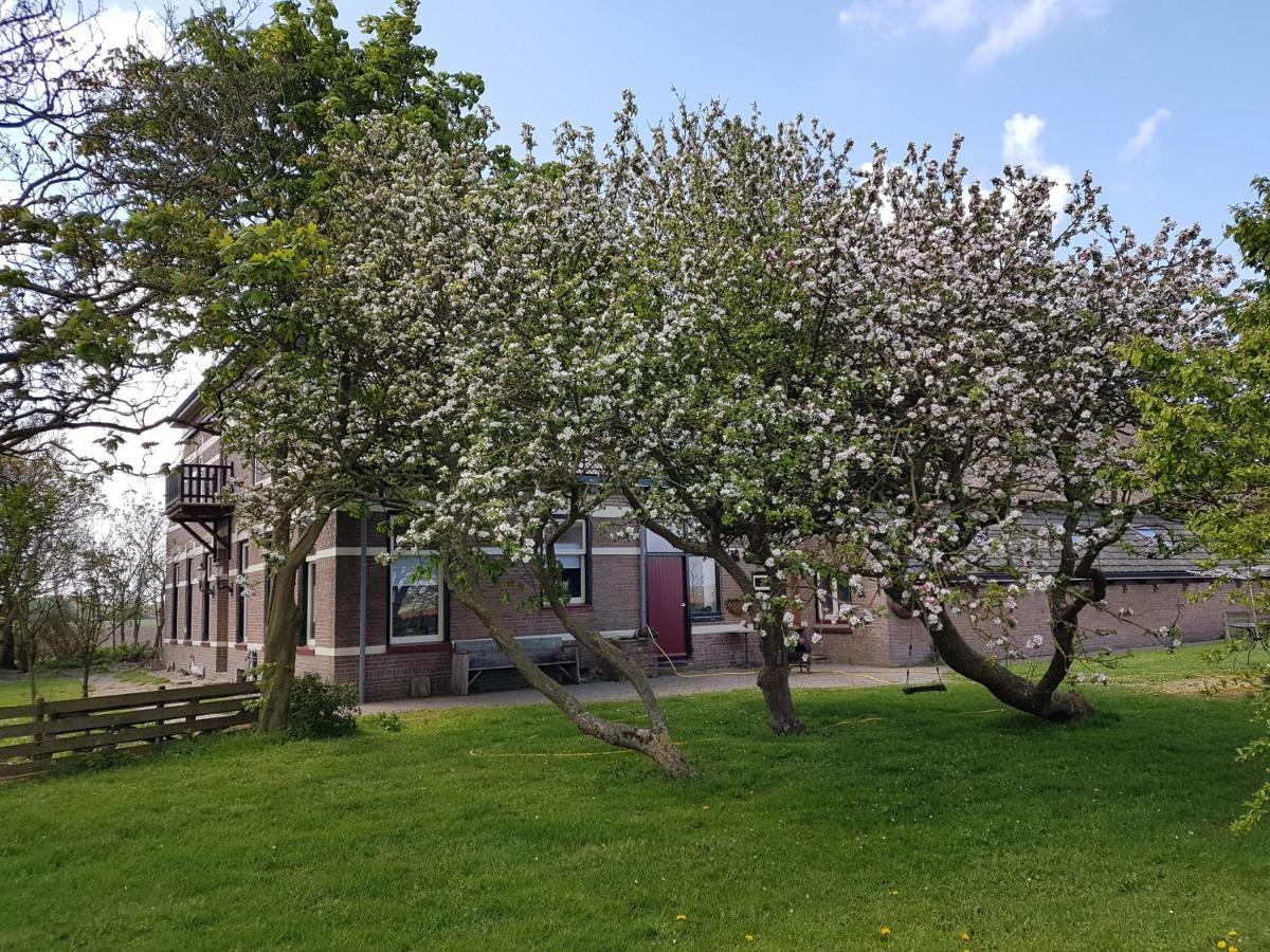Bed and Breakfast Hunsingo Texel De Cocksdorp  Esterno foto